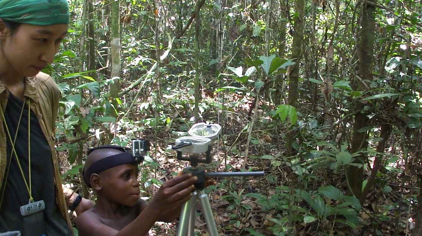 De 8-jarige oude Mbendjele jongen Anice wijst in de richting van een voedsellocatie in het tropische regenwoud in de Democratische Republiek Congo samen met PhD kandidaat Haneul Yang. Foto: Karline Janmaat