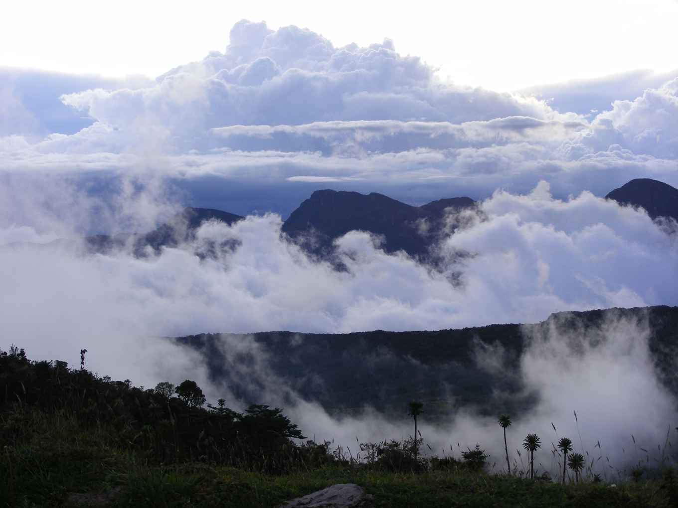 Zwevende eilanden in de Andes bergen in Colombia, Zuid-Amerika. Foto: Suzette Flantua.