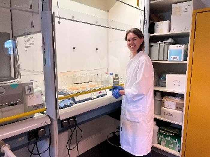 Pollen lab